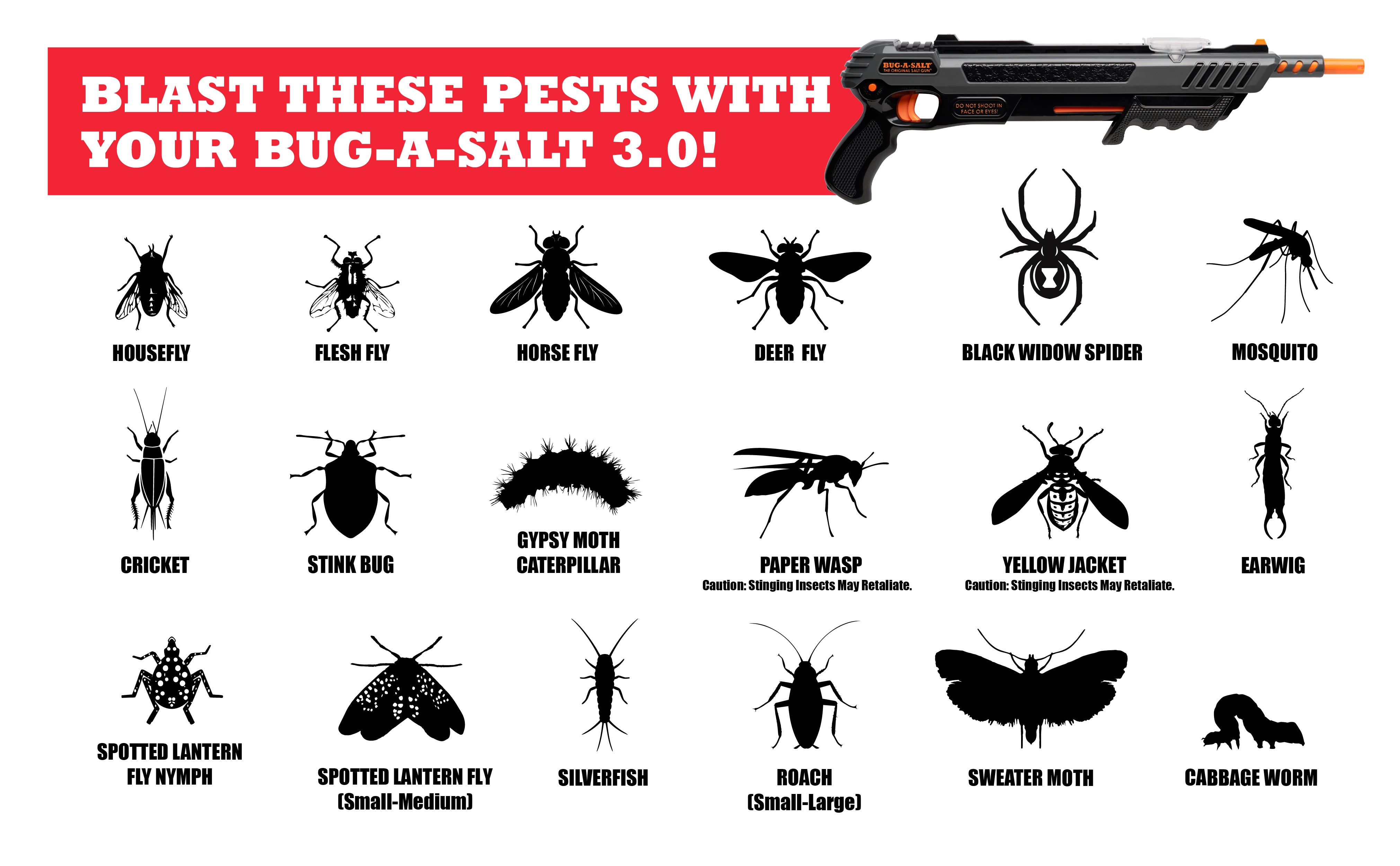BLACK FLY EDITION 3.0 TWO PACK